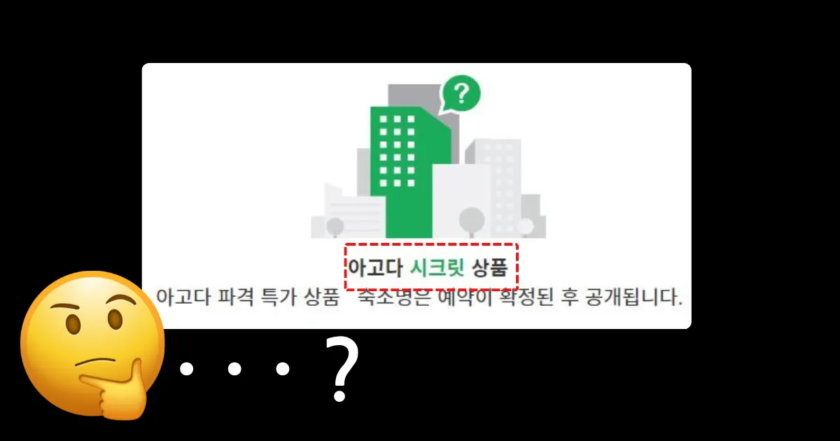 시크릿 상품 화면. 숙소 명은 예약이 확정된 후 공개된다고 나와있다.